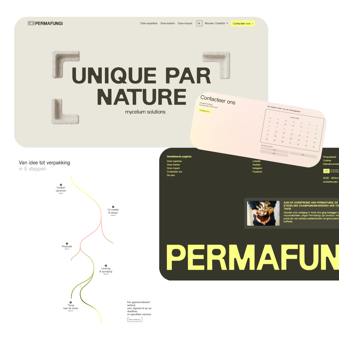 mockup permafungi