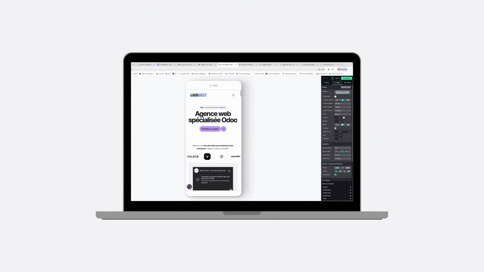 site webnest en version phone