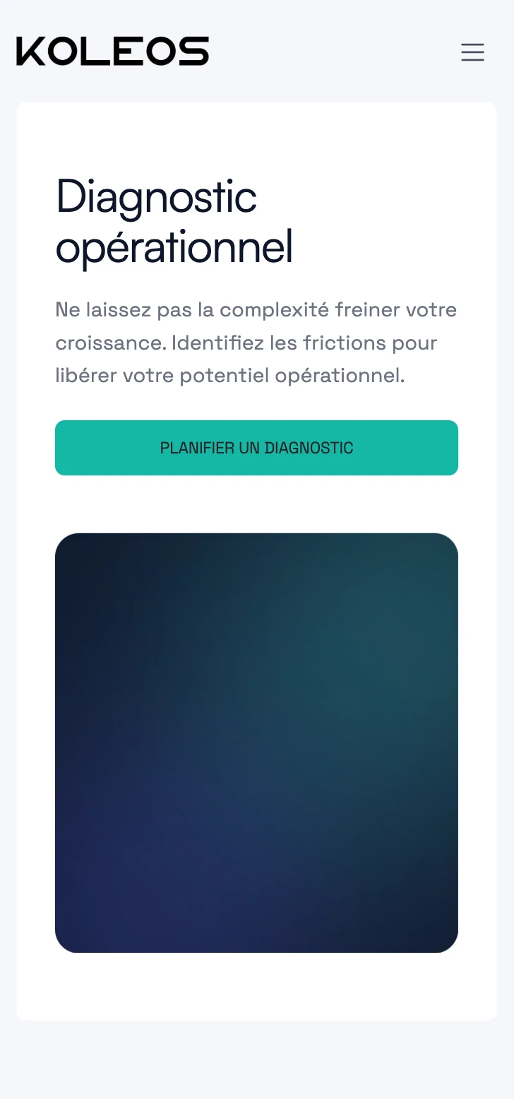 Koleos — site vitrine réalisé par WebNest (aperçu 8)
