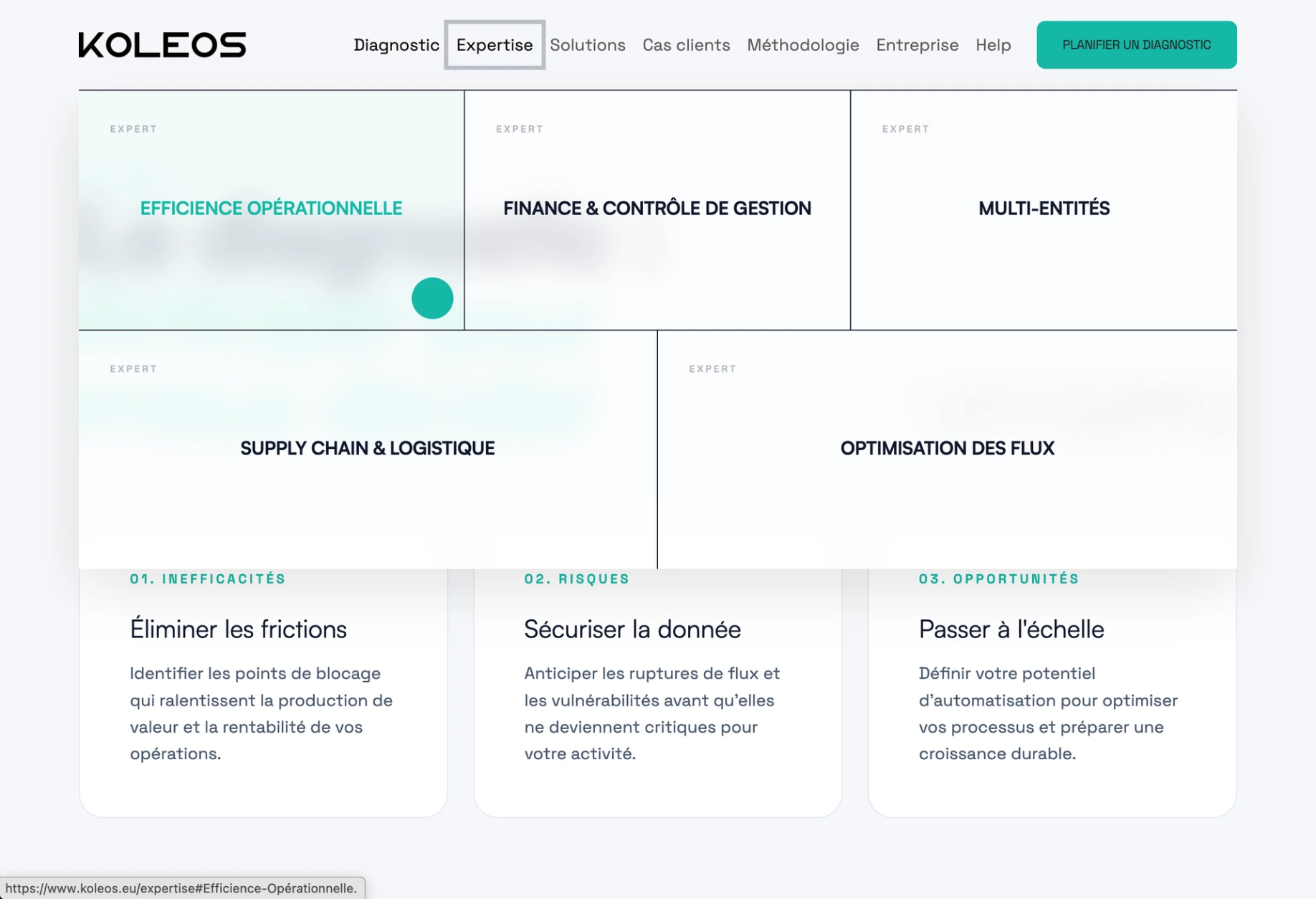 Koleos — site vitrine réalisé par WebNest (aperçu 6)