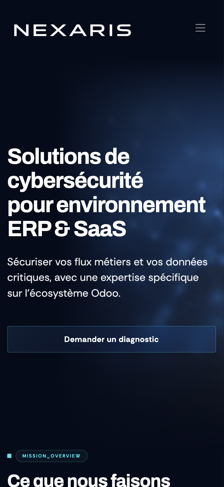 Nexaris — site vitrine réalisé par WebNest (aperçu 3)