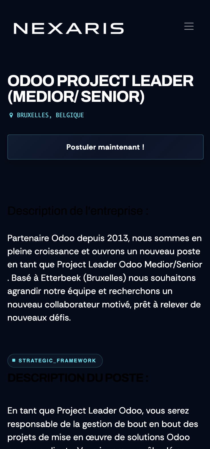 Nexaris — site vitrine réalisé par WebNest (aperçu 1)