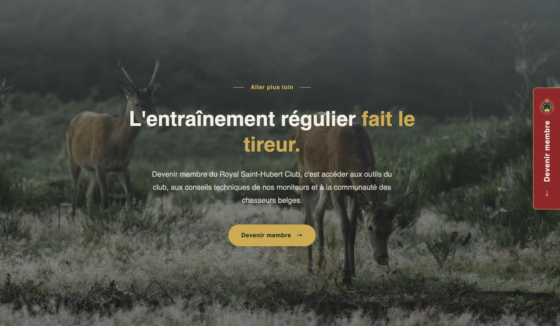 RSHCB — site réalisé par WebNest (aperçu 8)