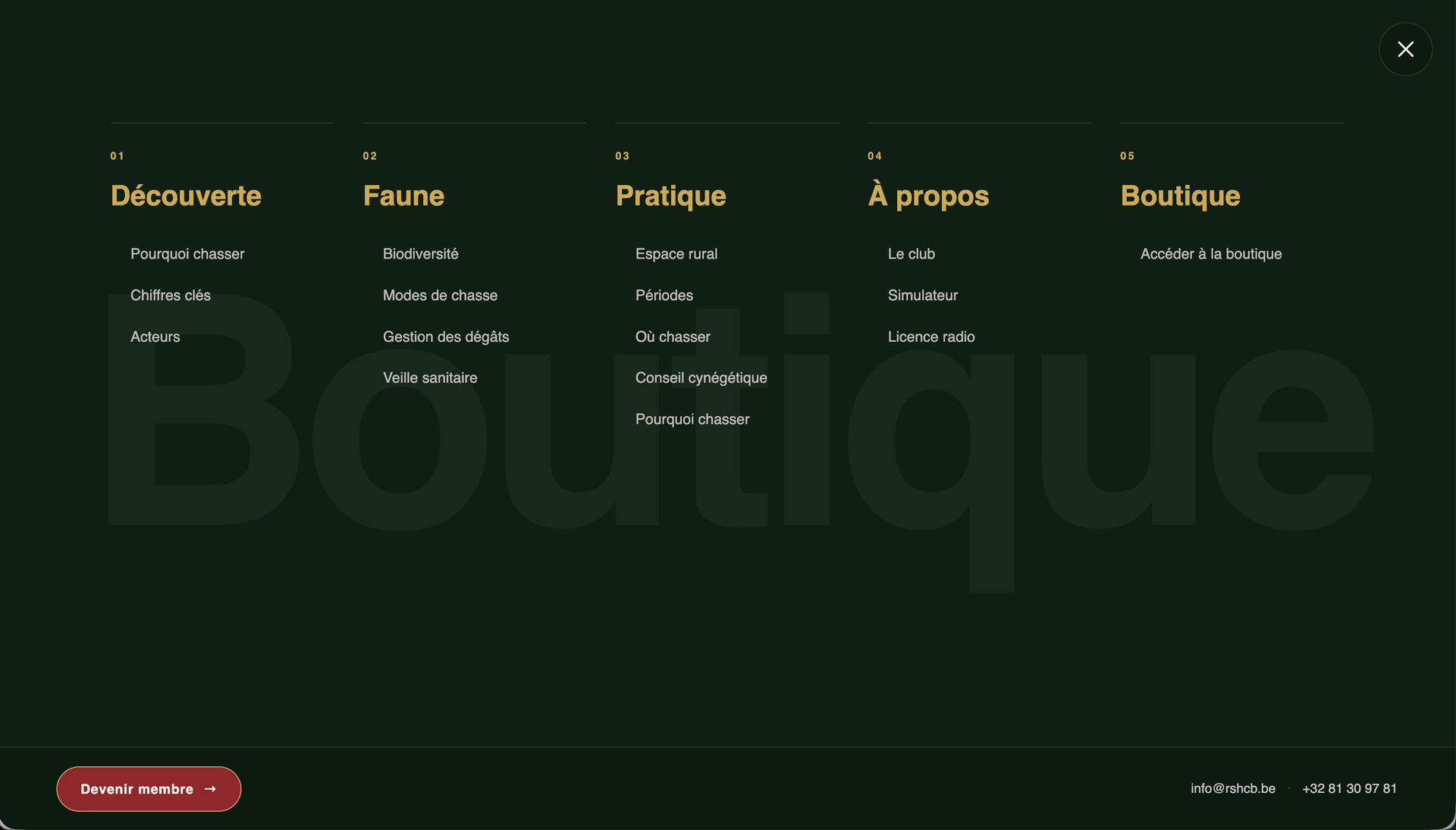 RSHCB — site réalisé par WebNest (aperçu 7)