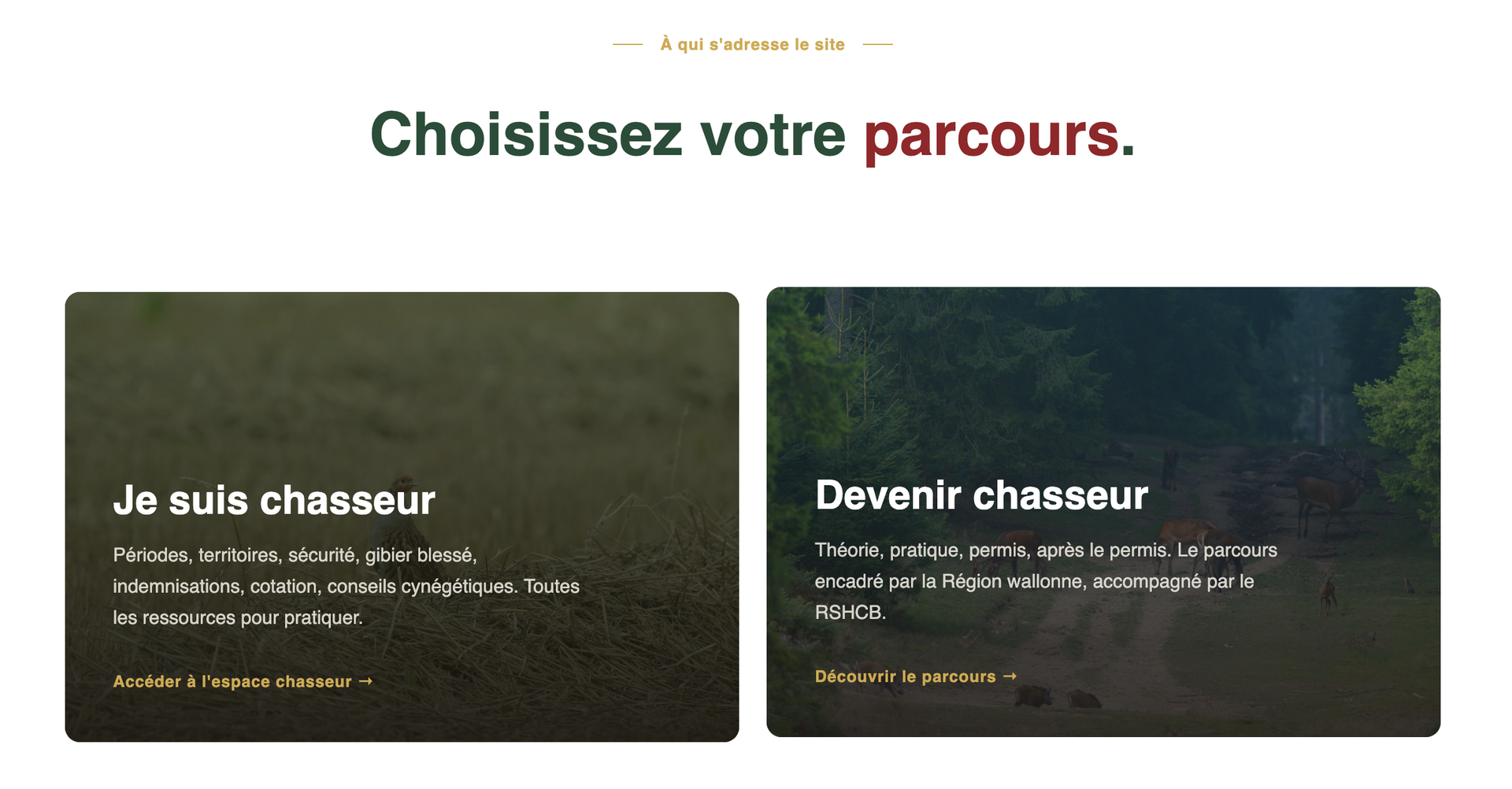RSHCB — site réalisé par WebNest (aperçu 5)
