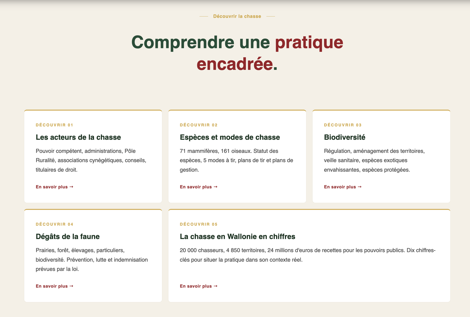 RSHCB — site réalisé par WebNest (aperçu 4)