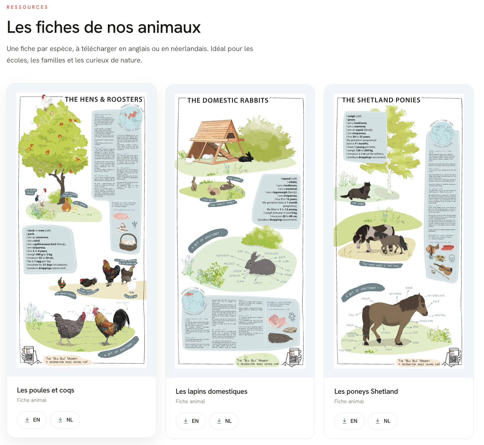 La Ferme du Parc Maximilien — site réalisé par WebNest (aperçu 5)