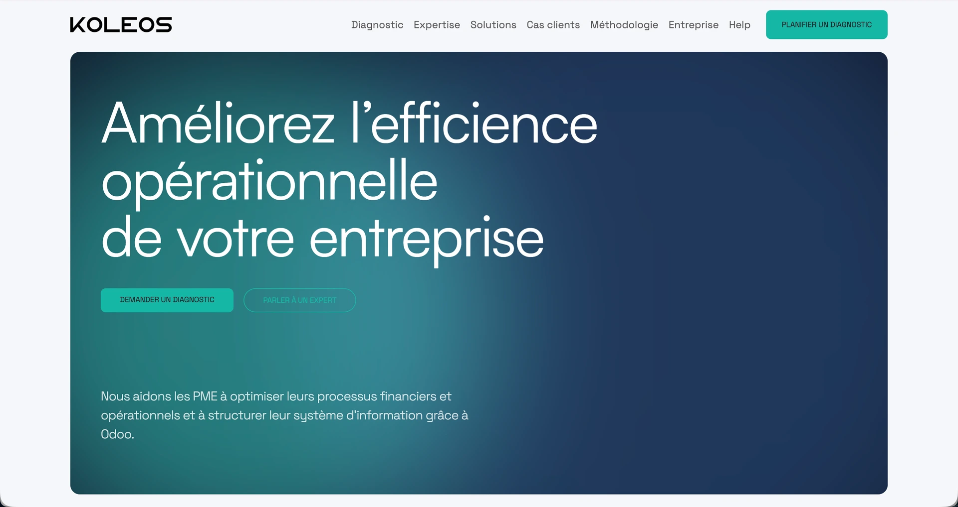 Aperçu du site Koleos par WebNest