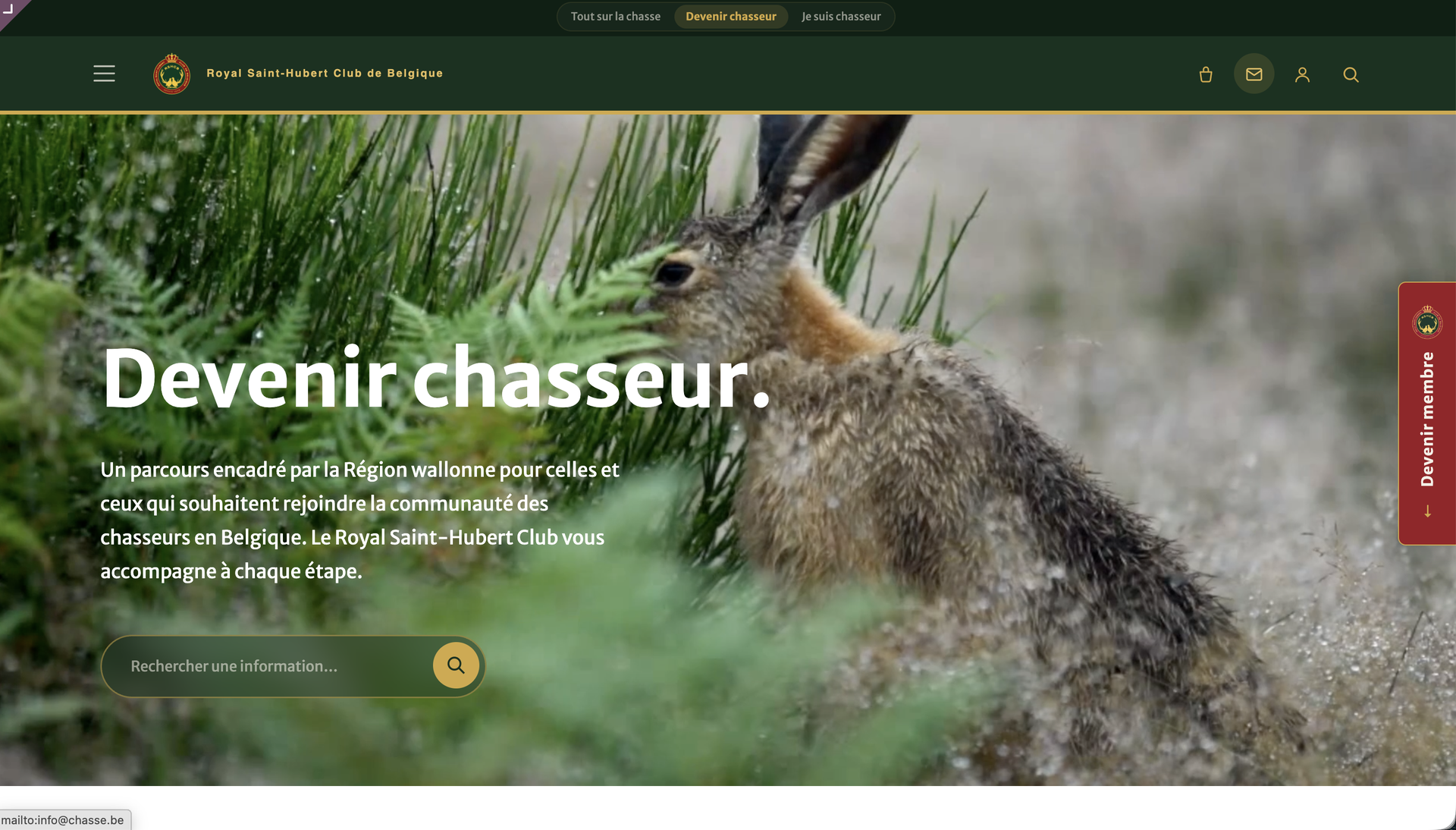 Aperçu du site RSHCB par WebNest