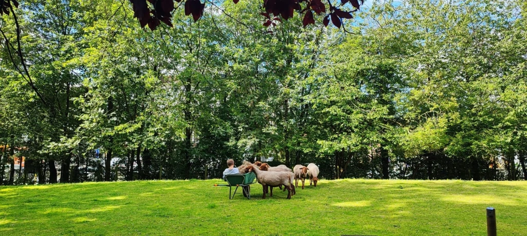 Odoo-site La Ferme du Parc Maximilien door WebNest